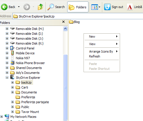 SkyDrive Explorer_Menu
