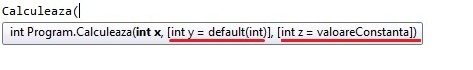 intellisense optional parameters
